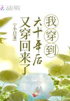 苍澜支线攻略