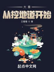 开局就满级了怎么办