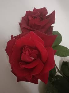 三国义薄云天关羽开启重生之路