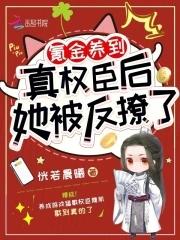 无尽重生录