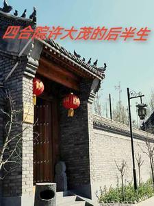 重生扑倒校霸苏放姜晚