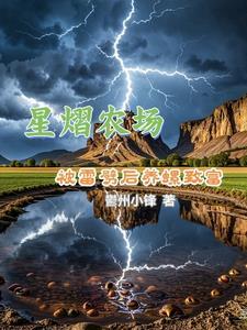 机甲契约奴隶讲的啥