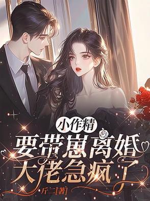 文豪野犬中双黑是哪两个人?